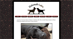Desktop Screenshot of debonairlabs.com