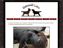 Tablet Screenshot of debonairlabs.com